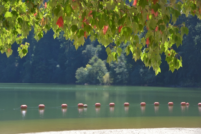 Loon Lake
